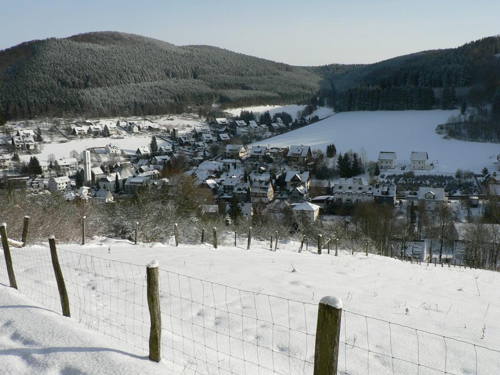 Landhaus Silberberg Winterberg Exterior foto